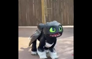 Роботи-дракони від Universal і Boston Dynamics