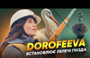 ДТЕК і Надя Дорофєєва допомагають лелекам на Київщині